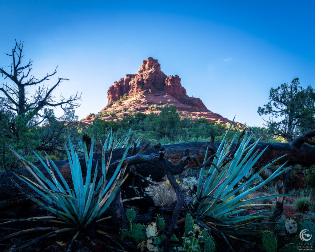 Bell Rock