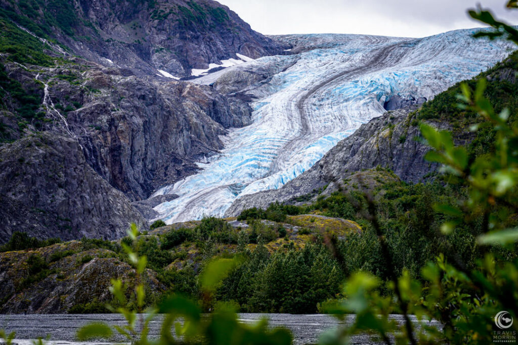 Exit Glacier 2