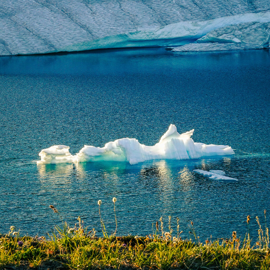 Frozen Lake