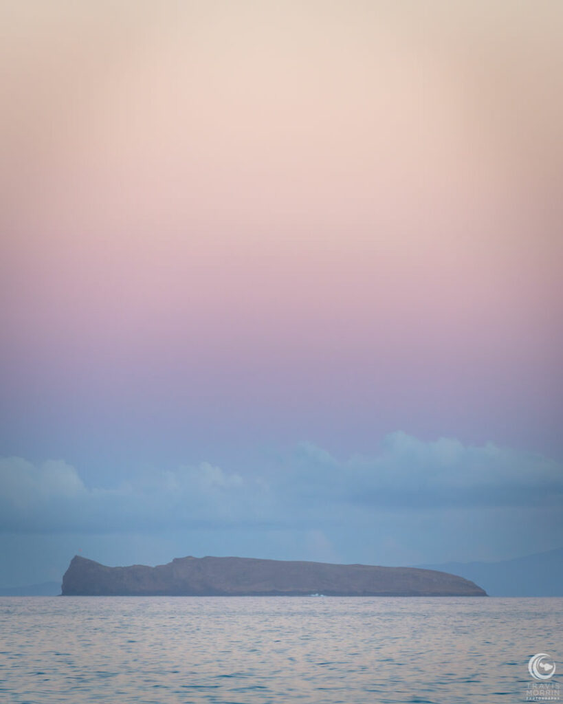 Molokini Cotton Candy