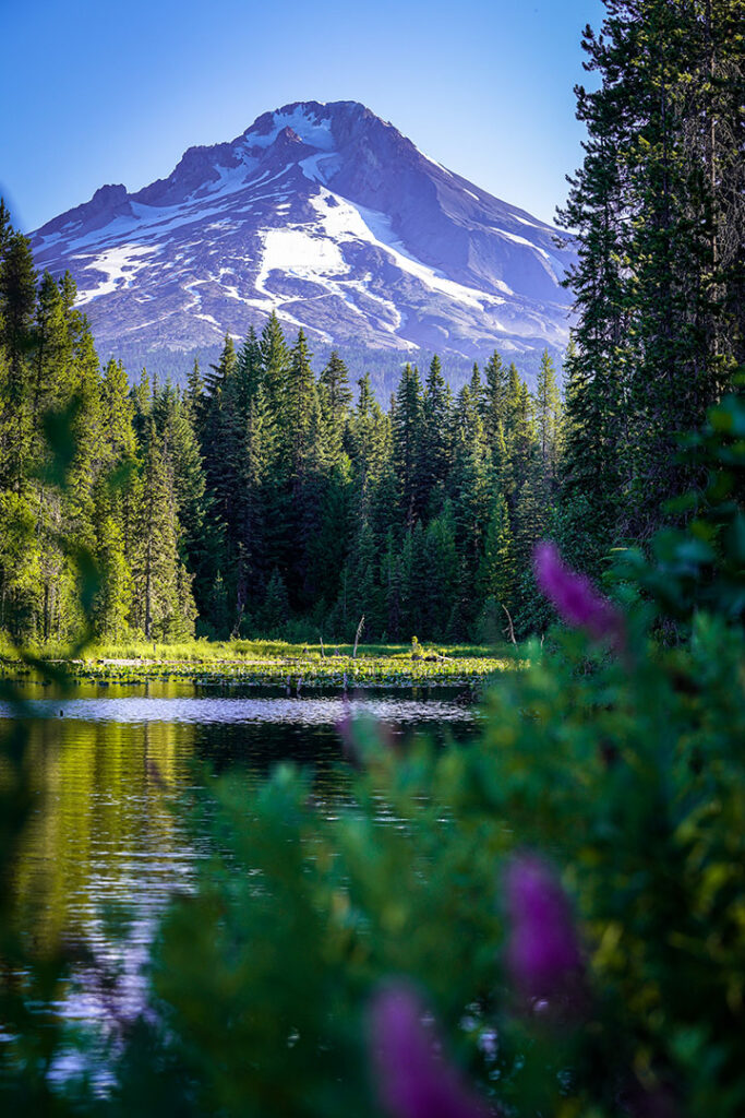 Mt. Hood and Lake Trillium