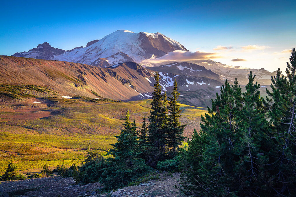 Mt. Rainier and Fremont Lookout