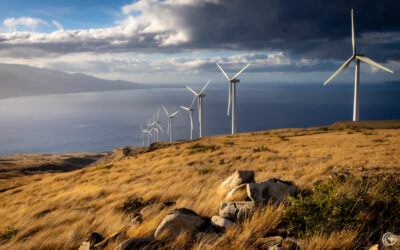 Hiking Maui’s Historic Pali Trail