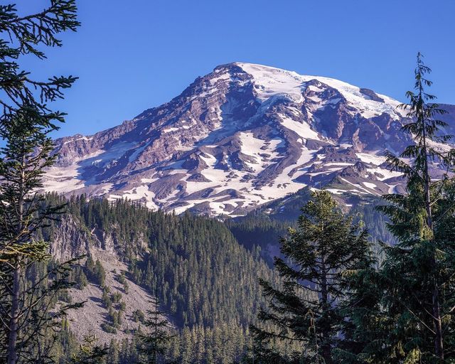 Mt. Rainier first look.